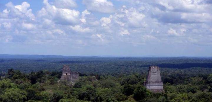 Voyage sur-mesure, Exploration des ruines de Tikal